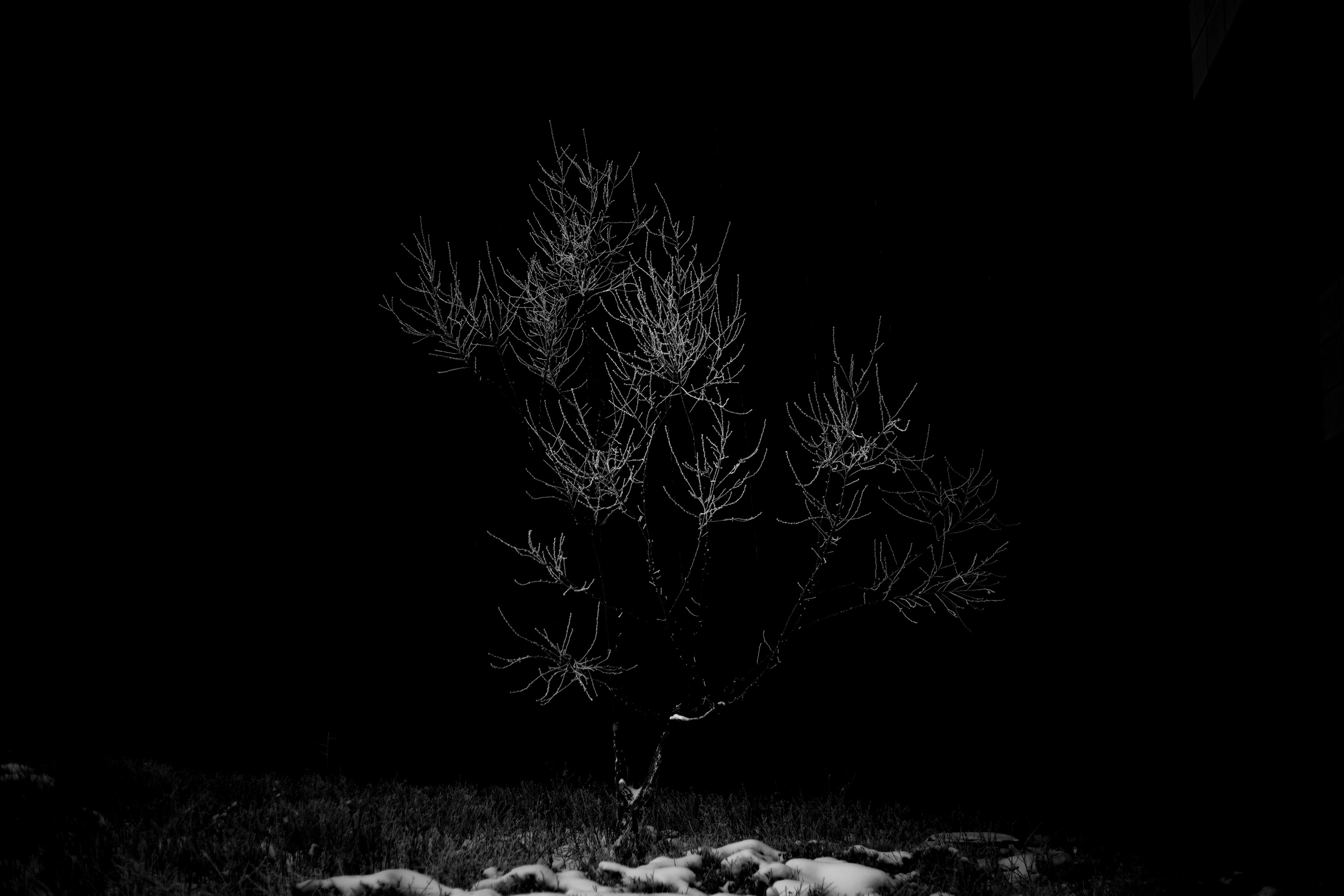 白色闪电 白色闪电